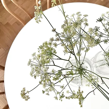 Entu Prusa Apartament Wrocław