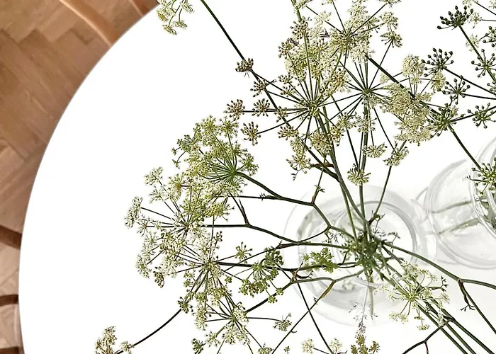 Entu Prusa 아파트 브로츠와프